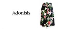 Adonisis/アドニシス/ボタニカルプリントバックレーススカート/170106